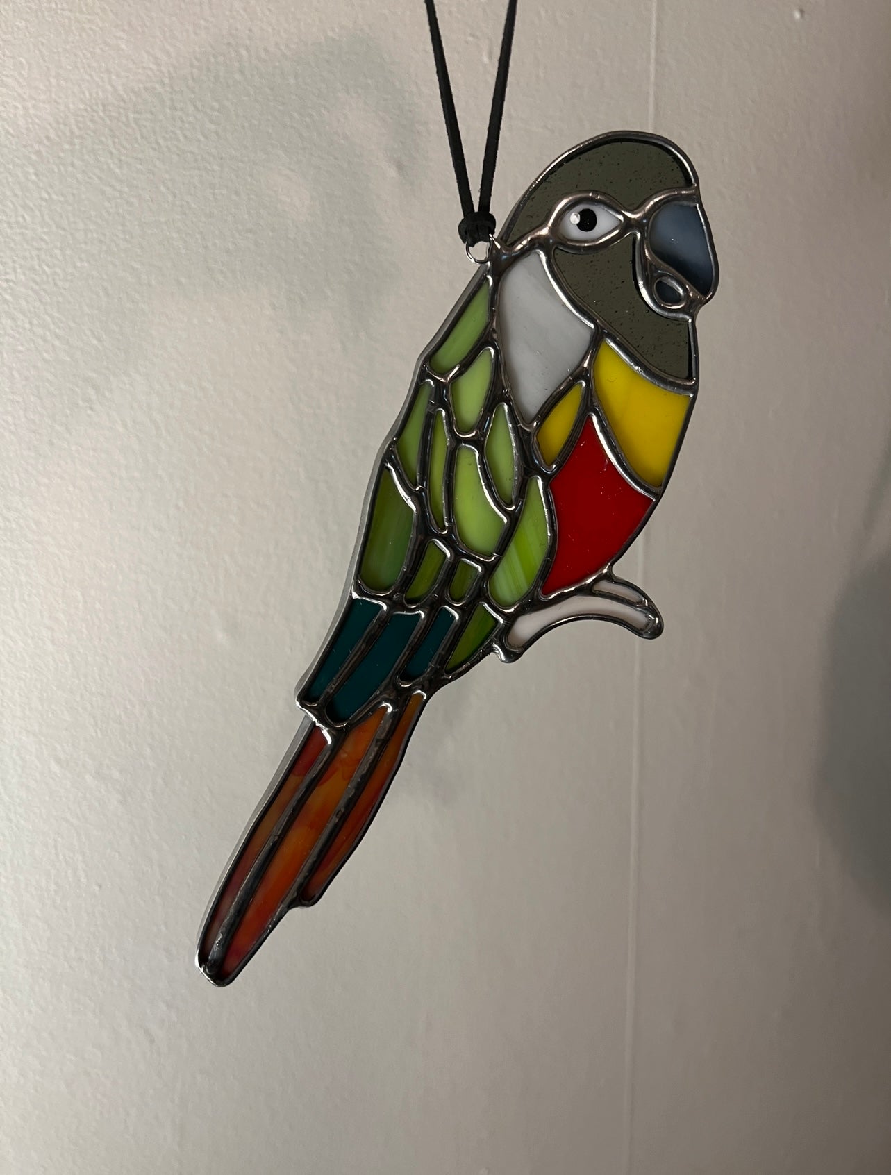 Green Cheeked Conure Parakeet Stained Glass Suncatcher