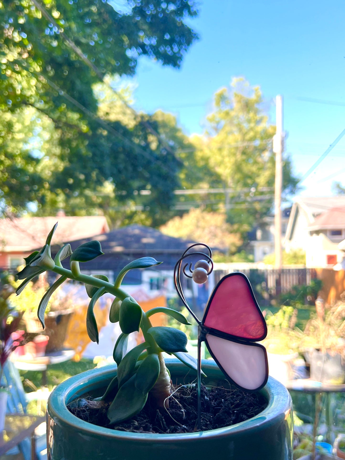 Assorted Stained Glass Butterfly Dragonfly Plant Stakes Suncatchers