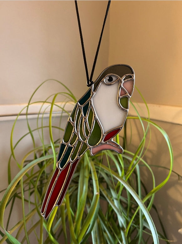 Green Cheeked Conure Parakeet Stained Glass Suncatcher