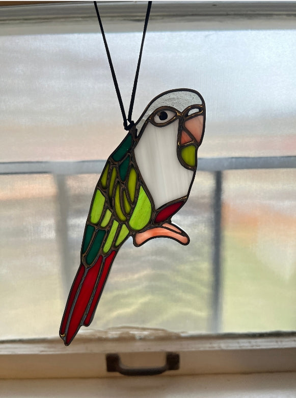 Green Cheeked Conure Parakeet Stained Glass Suncatcher