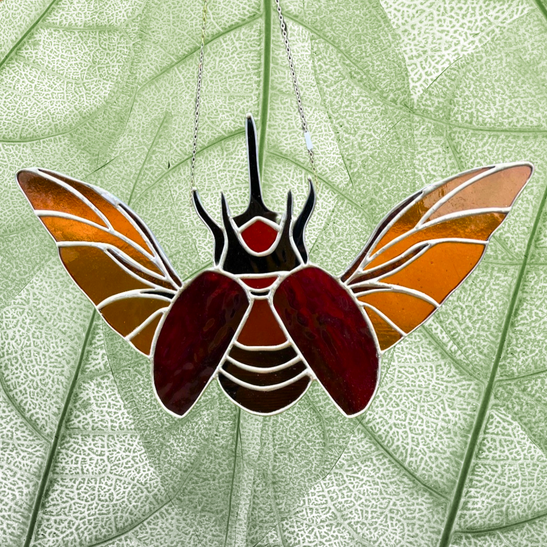 Red Giant Flying Beetle Goliathus Goliatus Stained Glass Suncatcher