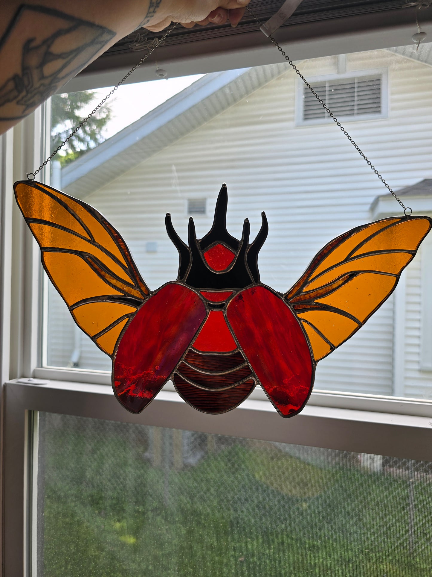 Beetle Red Giant Flying  Goliathus Goliatus Stained Glass Suncatcher